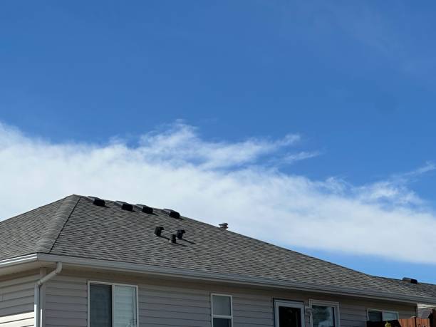Best Roofing for New Construction  in Occoquan, VA